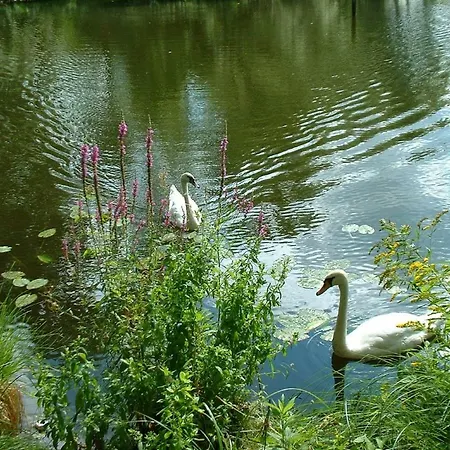 Bateau Condor